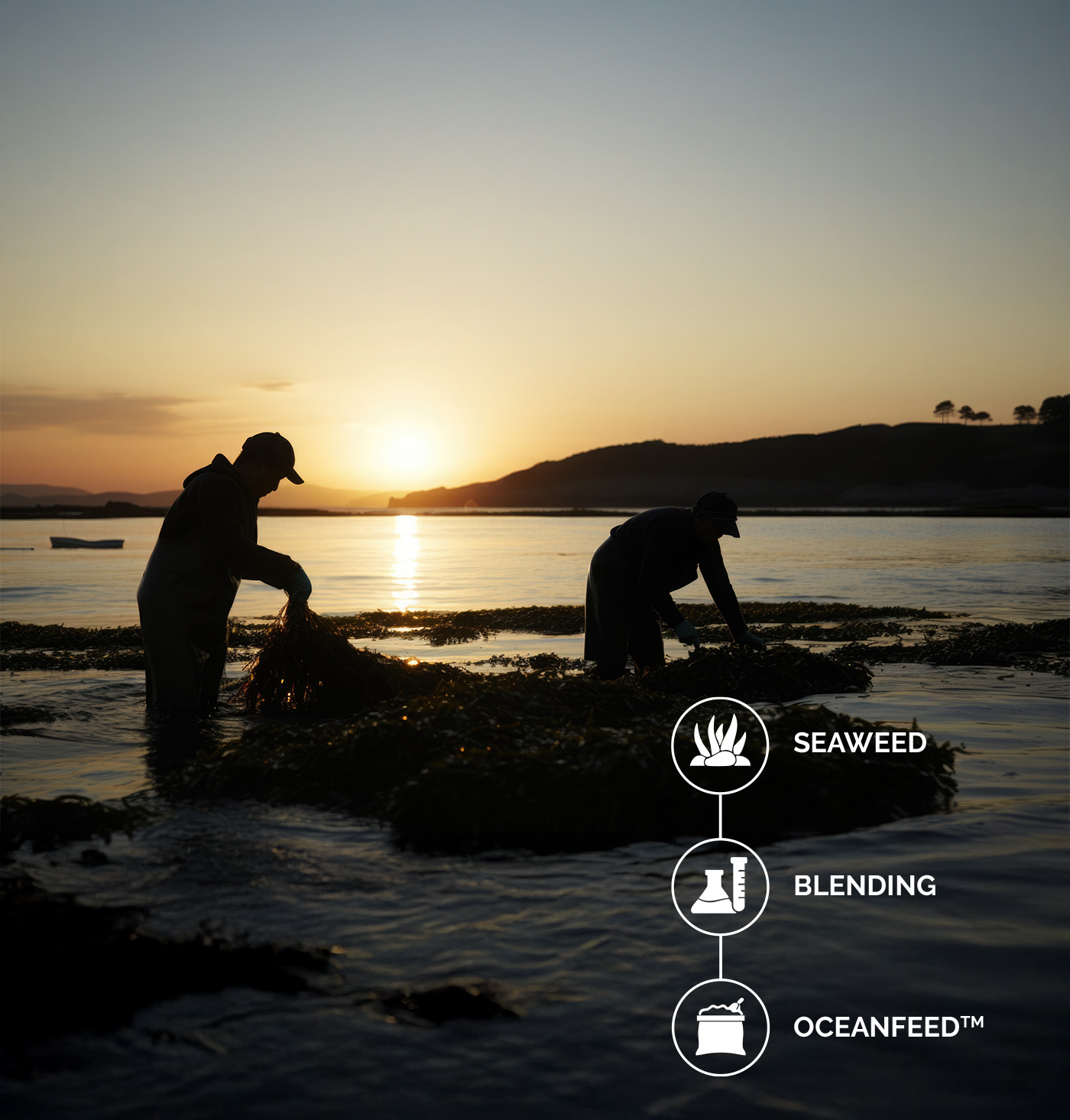 Ocean Harvest Technology